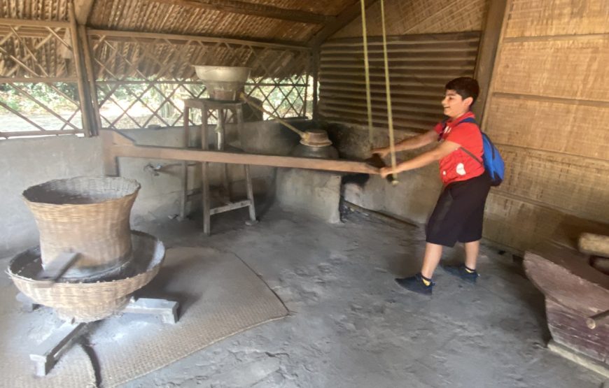 Cu Chi Tunnels Half Day Tours (Big Group) | Option: Morning or Afternoon