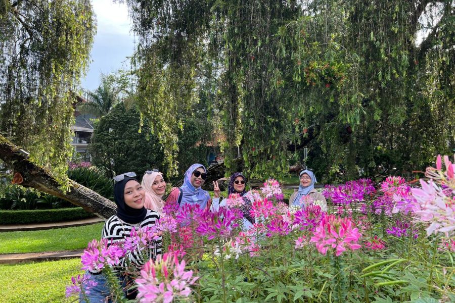 Package From Ho Chi Minh – Da Lat Flower City 2 Days 1 Night