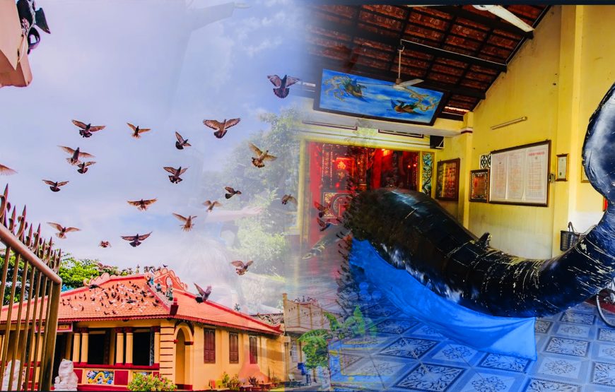 Vung Tau 1 Day – Premium Tour