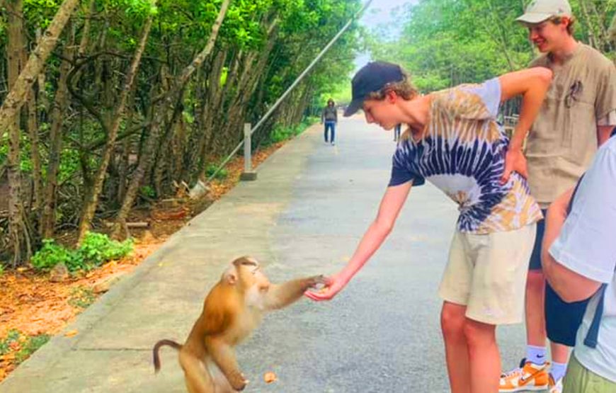 Explore Mangrove Forest – Can Gio Monkey Island by Boat & Trekking