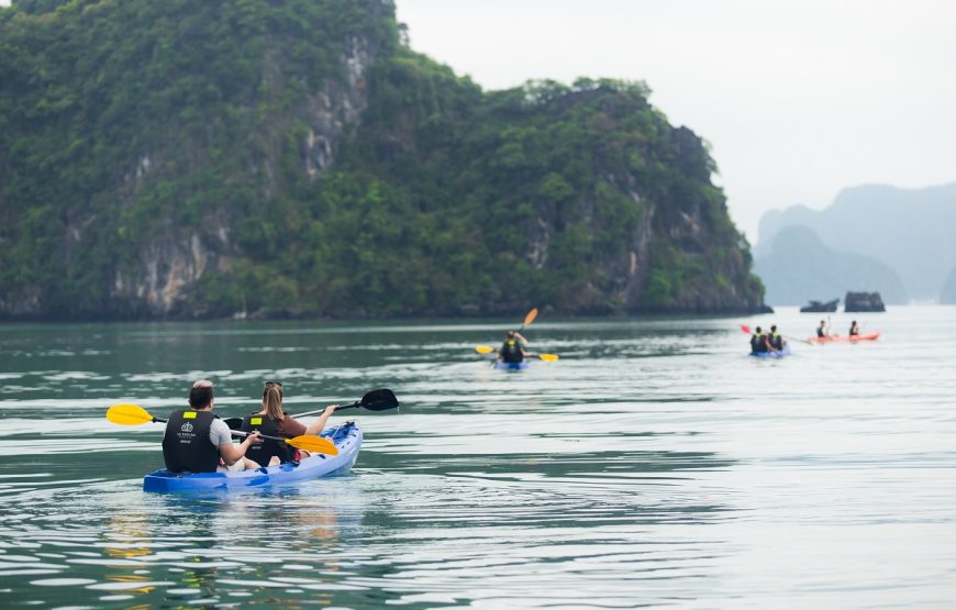 Ha Long Cruise 5 Stars 2 Days 1 Night From Hanoi