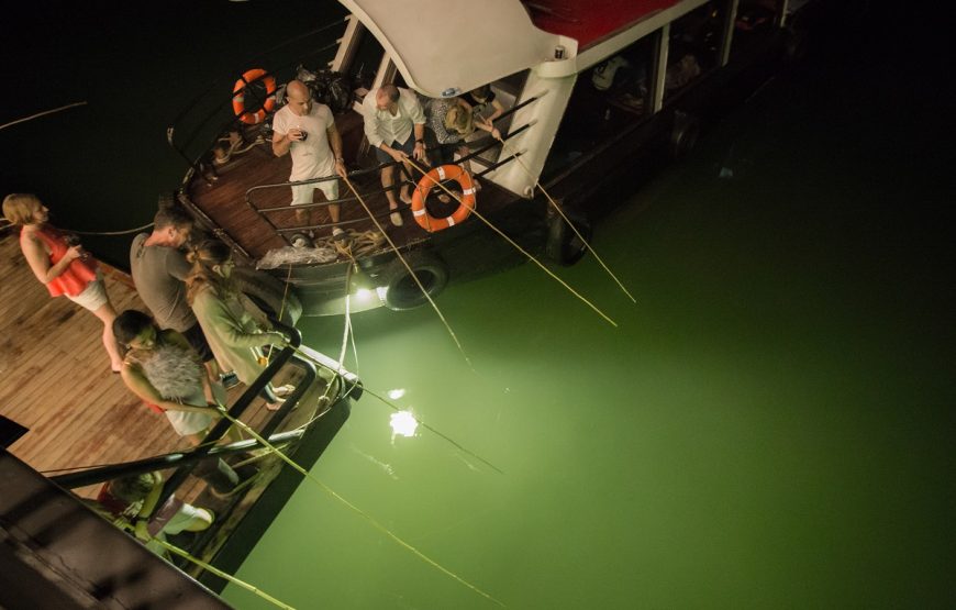 Ha Long Cruise 5 Stars 2 Days 1 Night From Hanoi