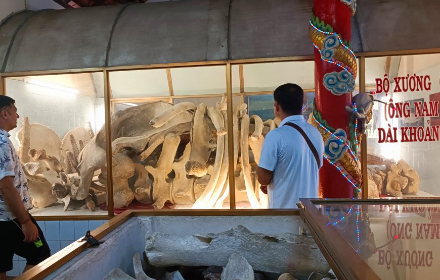 Vung Tau 1 Day – Premium Tour