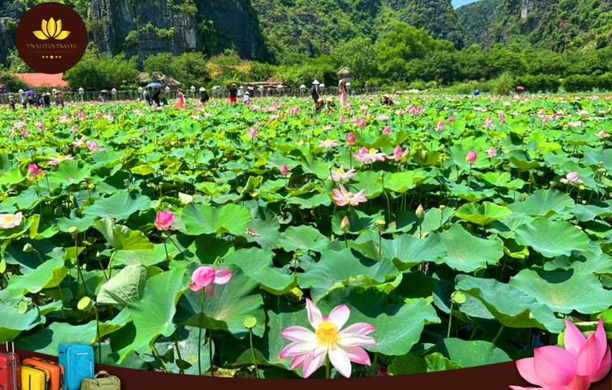 Package Tour Hanoi Capital – Halong Bay- Ninh Binh 4 Days 3 Nights