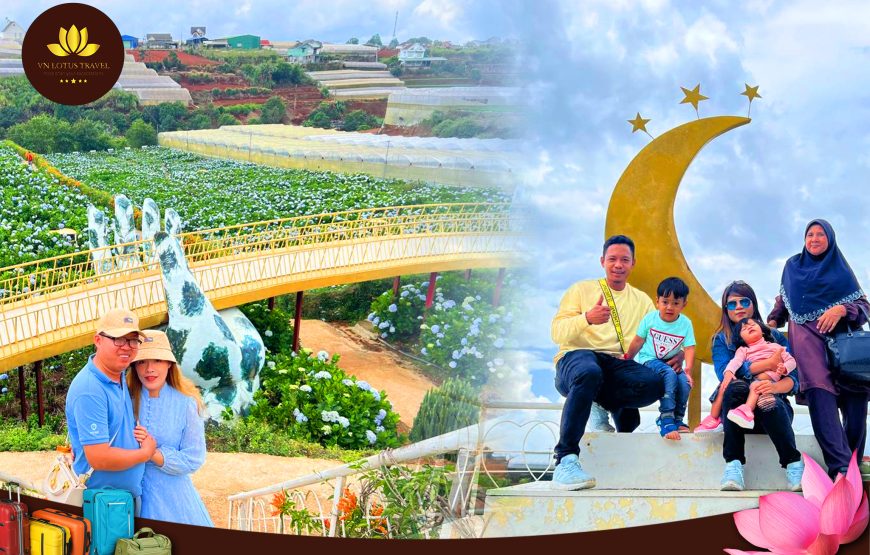 Package From Ho Chi Minh – Da Lat Flower City 2 Days 1 Night