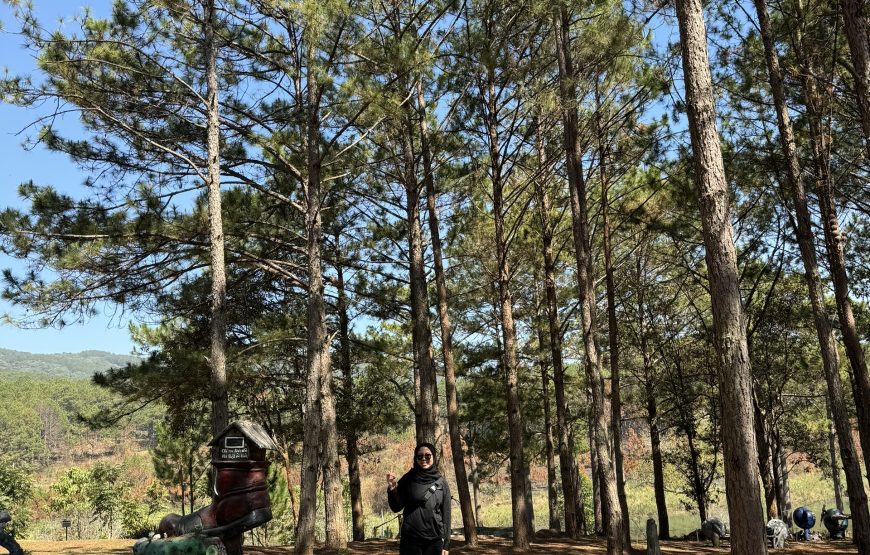 Private Tour 4 Days 3 Nights Ho Chi Minh – Mui Ne – Da Lat