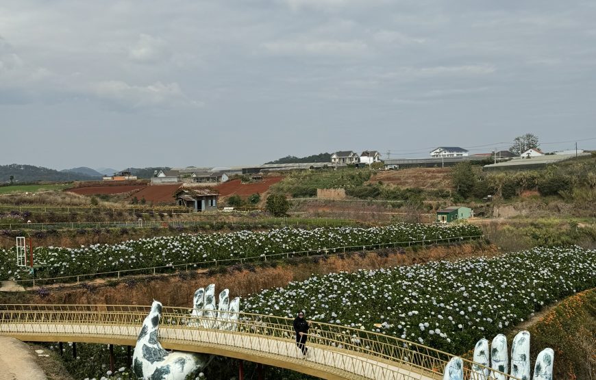Private Tour 4 Days 3 Nights Ho Chi Minh – Mui Ne – Da Lat