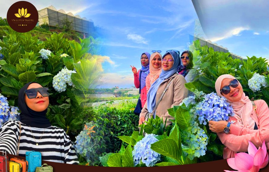 Package From Ho Chi Minh – Da Lat Flower City 2 Days 1 Night