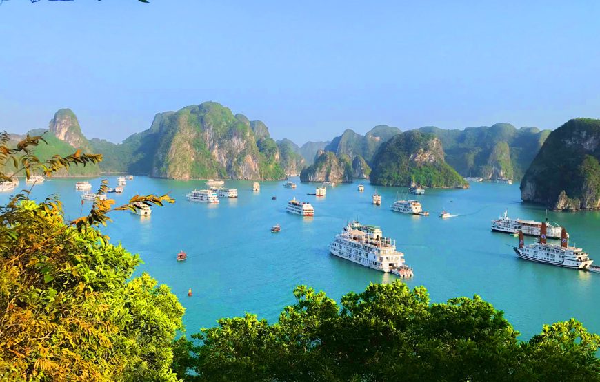 Ha Long Bay 1 Day Trip 6 Hours Cruise