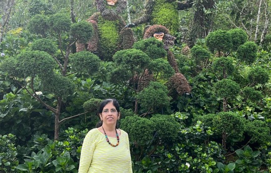 From Hoi An – Ba Na Hills – Golden Bridge Full Day Tour