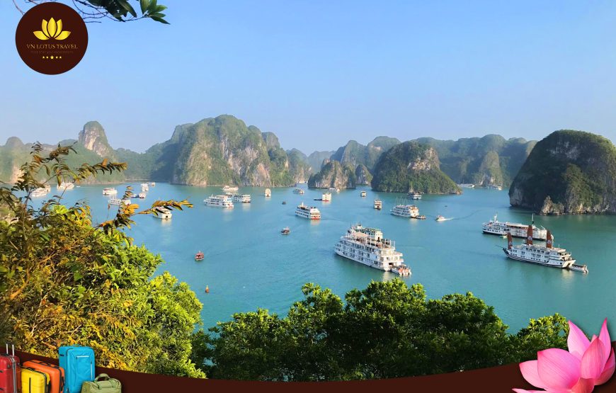 Package Tour Hanoi Capital – Halong Bay- Ninh Binh 4 Days 3 Nights