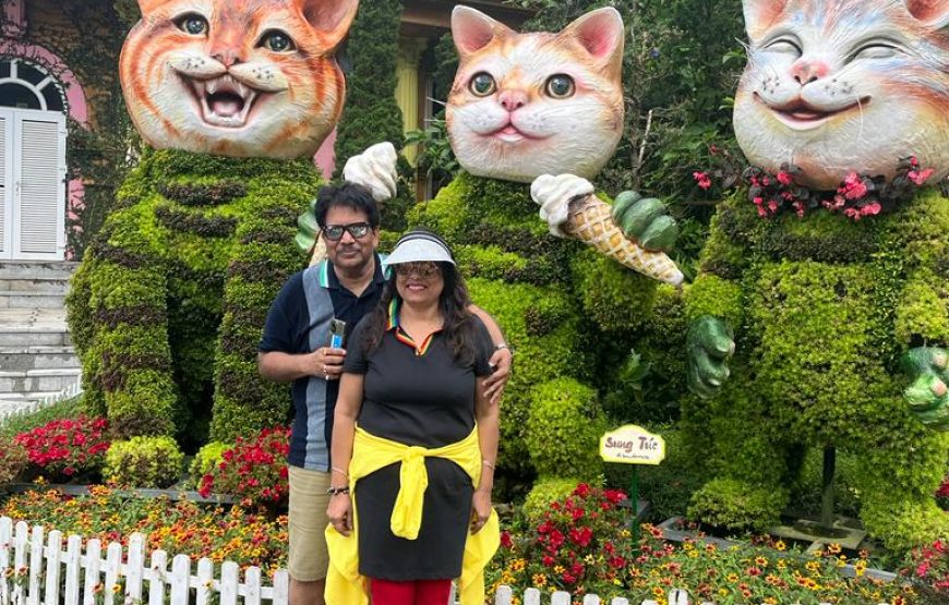 From Hoi An – Ba Na Hills – Golden Bridge Full Day Tour