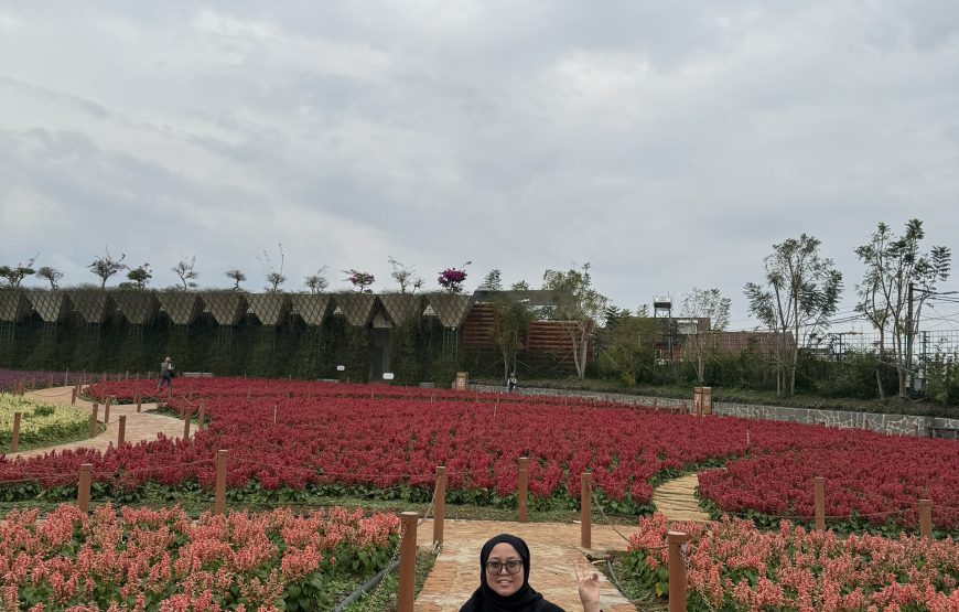 Private Tour 4 Days 3 Nights Ho Chi Minh – Mui Ne – Da Lat