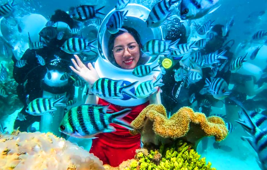 From Hoi An – Cham Island Sightseeing And Snorkeling Tour