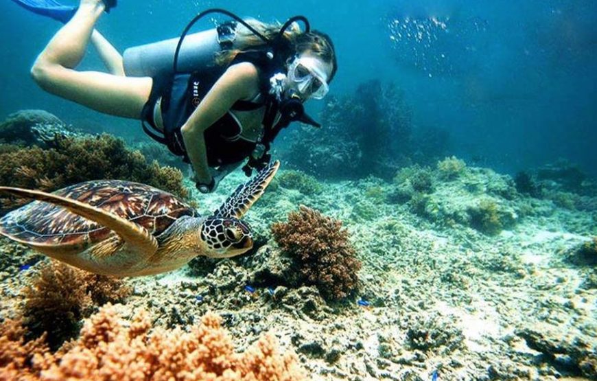 From Hoi An – Cham Island Sightseeing And Snorkeling Tour