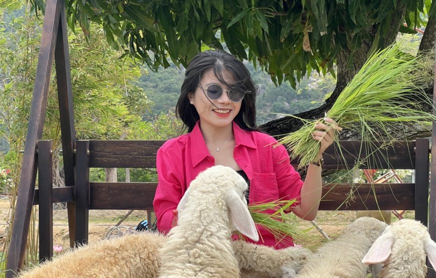Rai Cave Tour – Vinh Hy – Grape Garden – Sheep Field