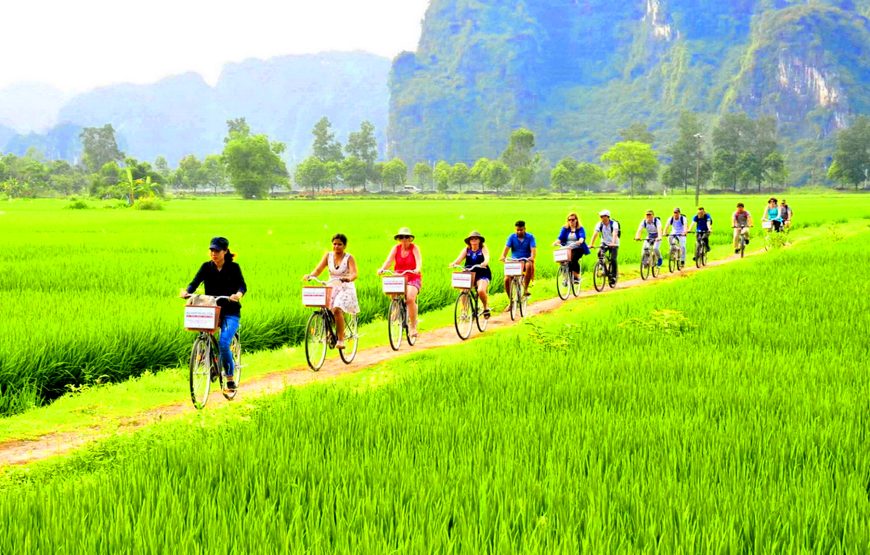 From Hanoi | Hoa Lu – Trang An – Mua Cave 1 Day
