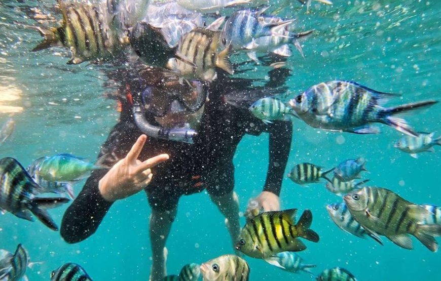 2 Island Tour: Coral Sighting – Sunset – Grilling Party On The Island
