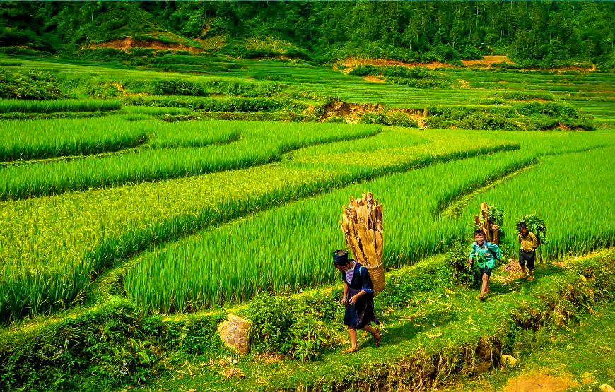 Sa Pa 2 Days 1 Night | Lao Chai – Ta Van – Giang Ta Chai
