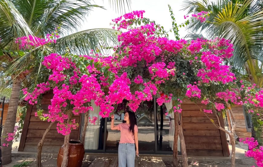 Diep Son – Doc Let Nha Trang 1 Day Tour