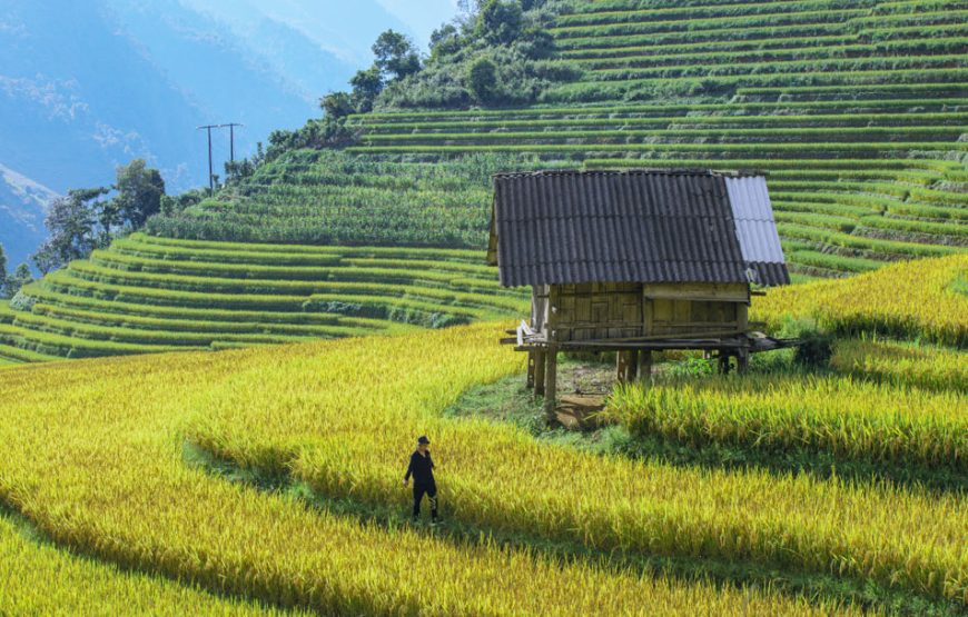 Sa Pa Tour 3 Days – 2 Nights (2 Nights in Hotel) – Catcat – Lao Chai – Ta Van – Tram Ton – Silver Waterfall